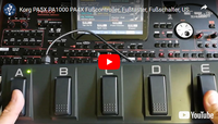 Anschluss des Controllers am PA1000, PA4X, PA5X